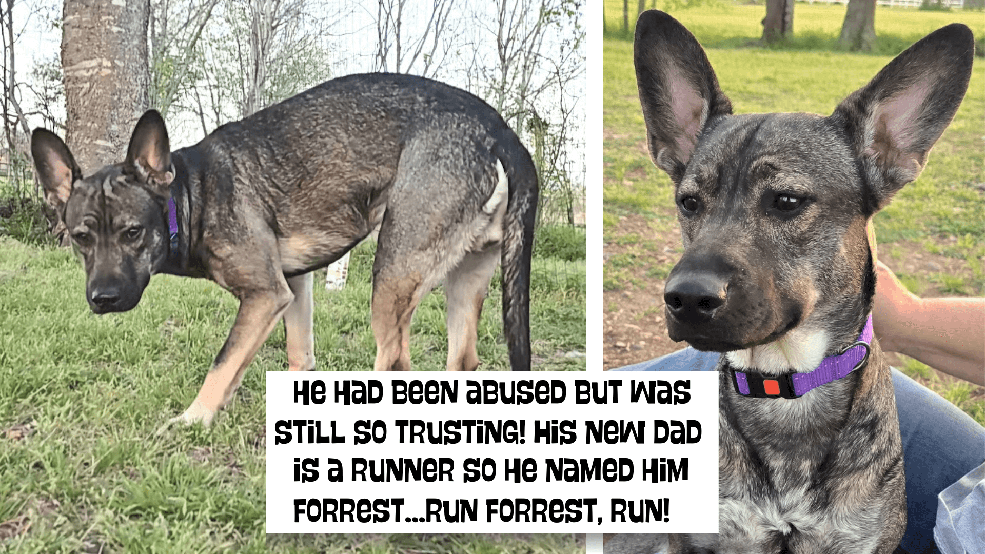 2Forrest