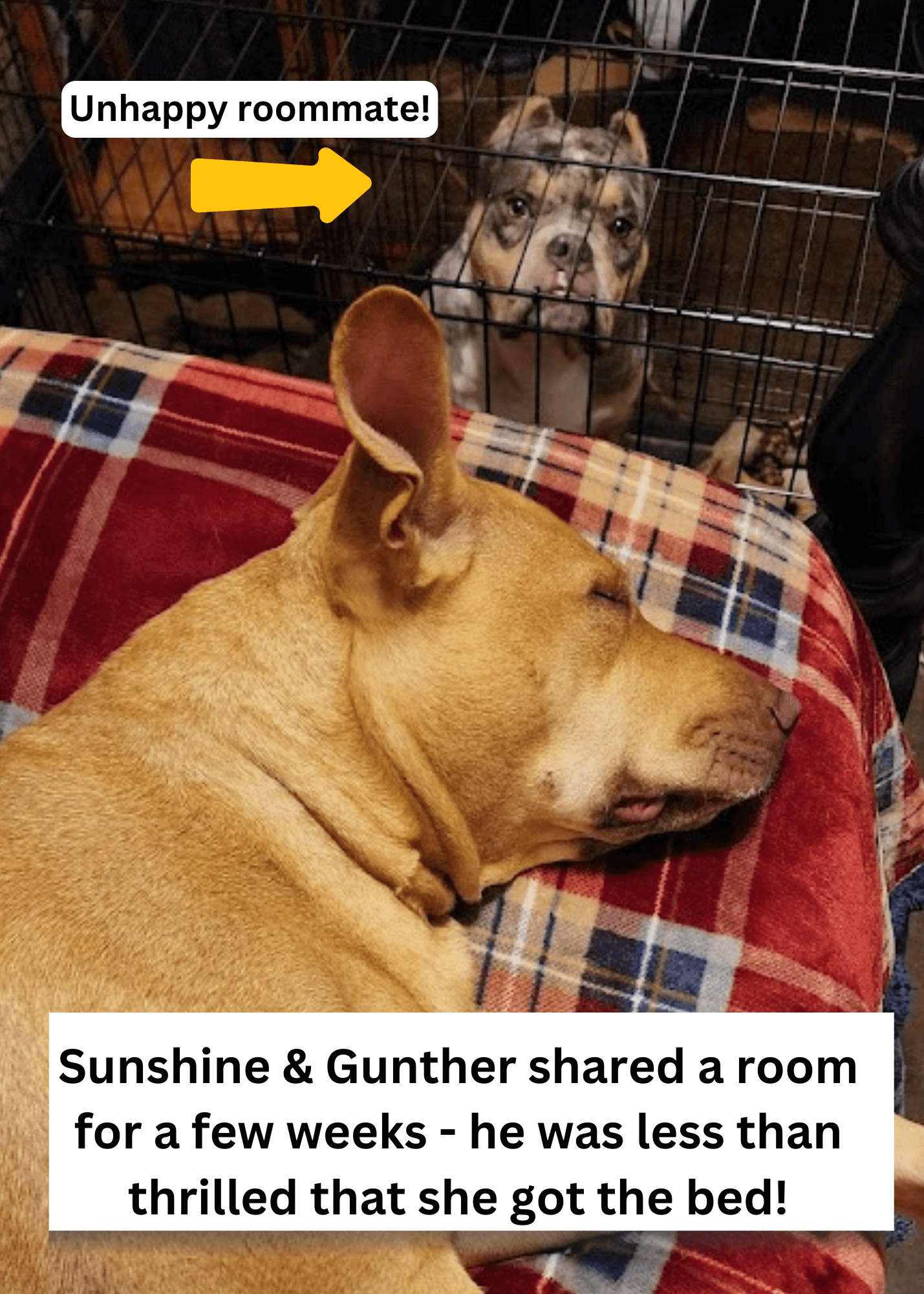 Sunshine3