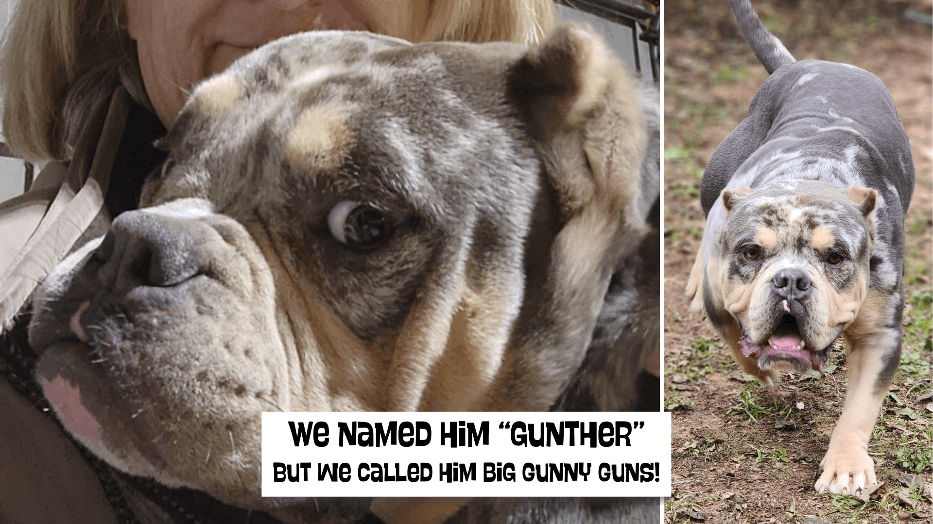 2Gunther