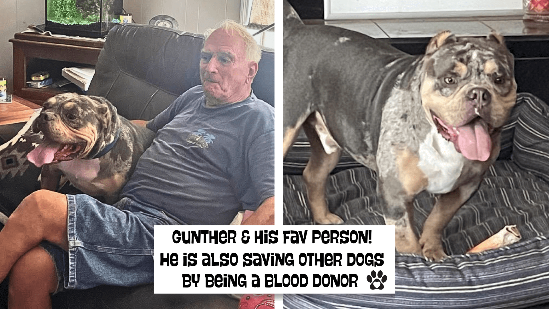 4Gunther