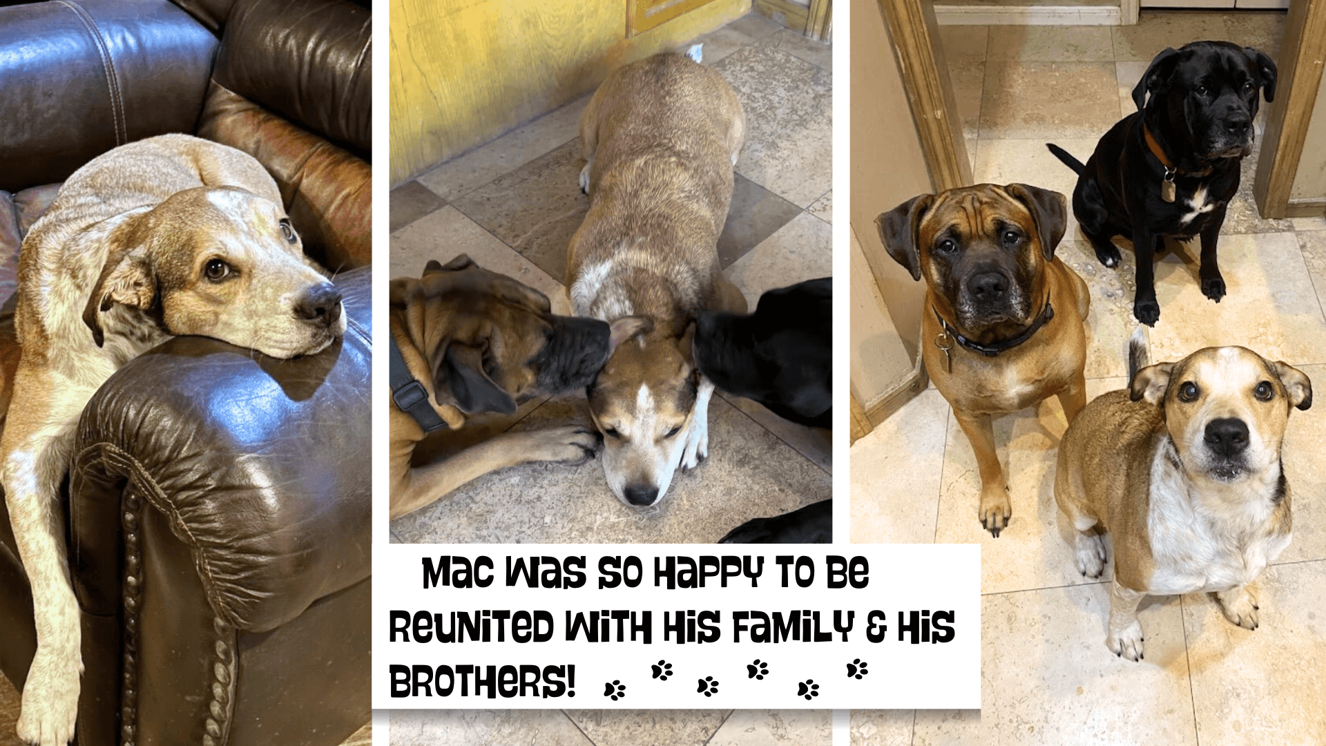 4Mac