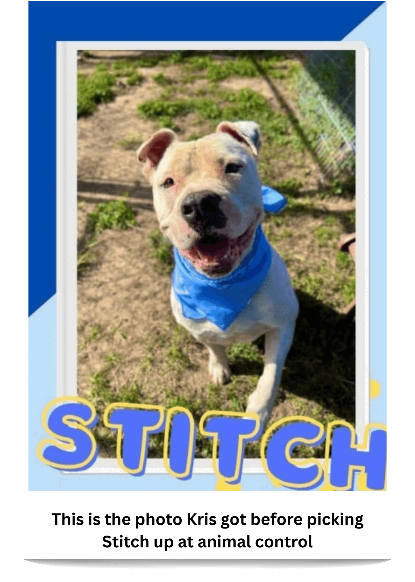 Stitch1