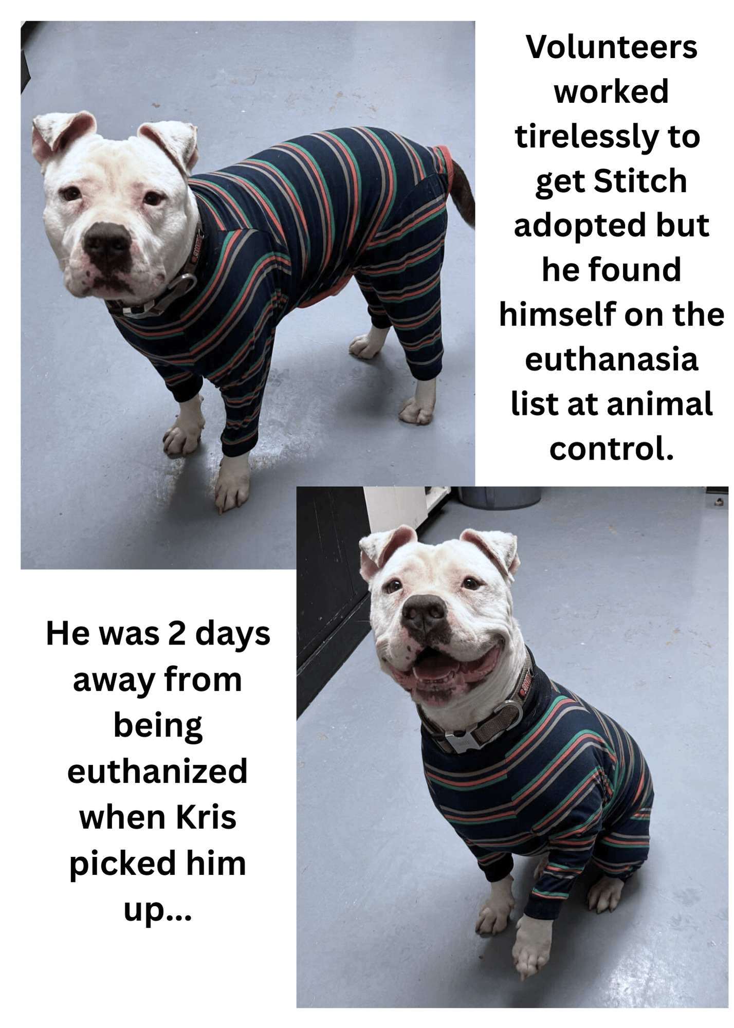 Stitch2